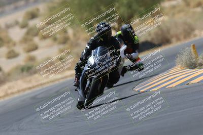 media/May-14-2023-SoCal Trackdays (Sun) [[024eb53b40]]/Turn 5 Tree of Life (1125am)/